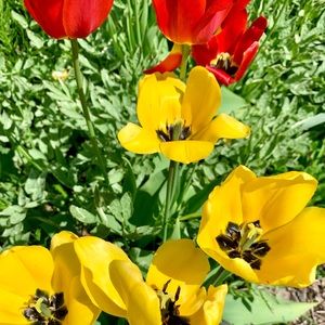 Meet your Posher, A.